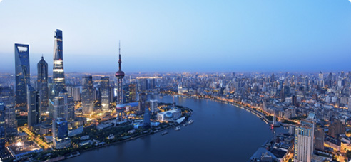 上海分公司